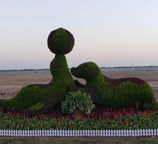 青岛专业菊花造型制作